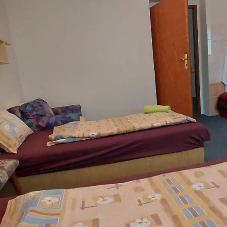 Gasthof Penzion Svojanov 3*