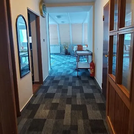 Gasthof Penzion Svojanov 3*