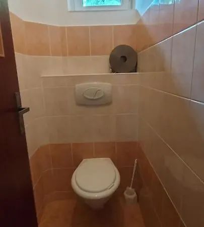Gasthof Penzion Svojanov 3*