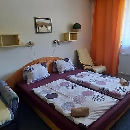 Penzion Svojanov Πανσιόν 3*