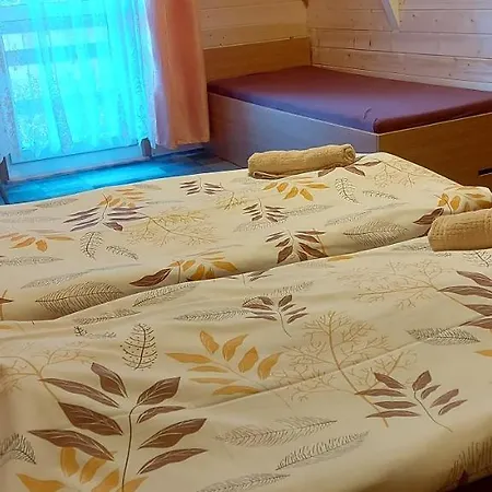 Gasthof Penzion Svojanov Svojanov (Pardubice)