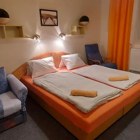 Penzion Svojanov Gasthof Svojanov (Pardubice)