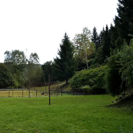 Gasthof Penzion Svojanov 3*