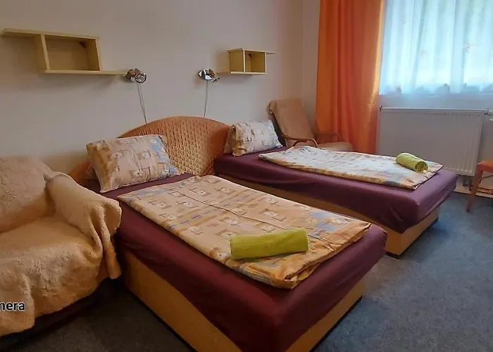 Penzion Svojanov 게스트하우스 3*