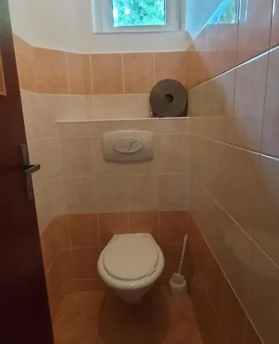 게스트하우스 Penzion Svojanov 3*
