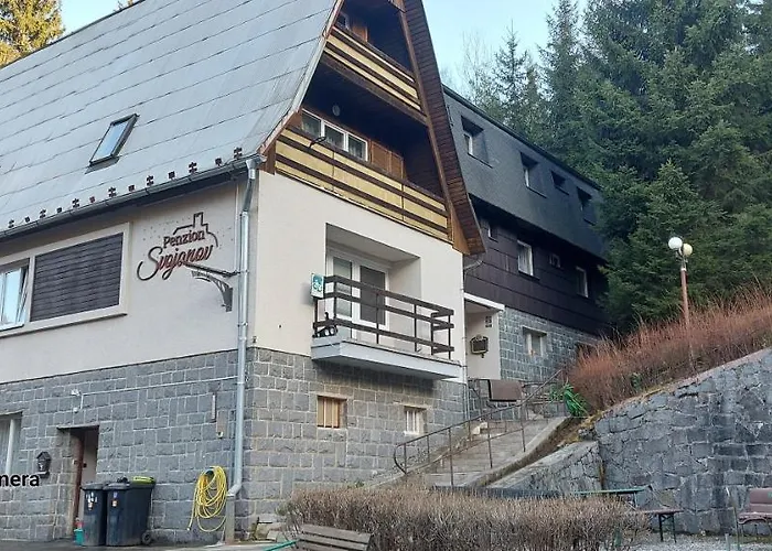게스트하우스 Penzion Svojanov