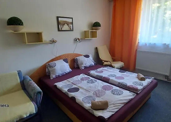 Penzion Svojanov Gæstehus 3*