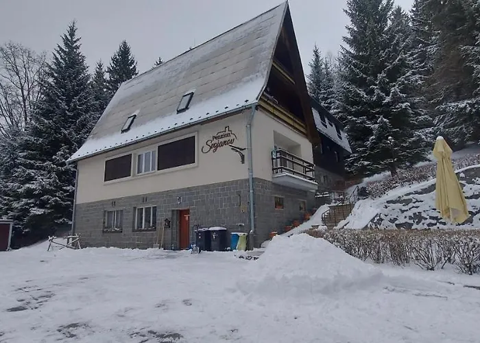 Penzion Svojanov 게스트하우스 3*