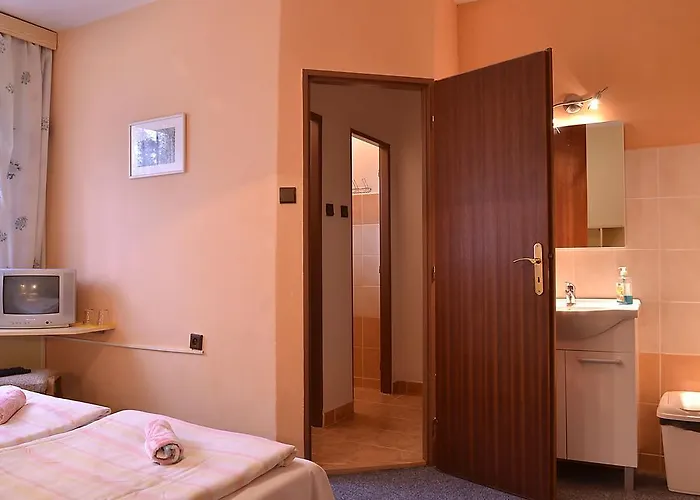 Gæstehus Penzion Svojanov